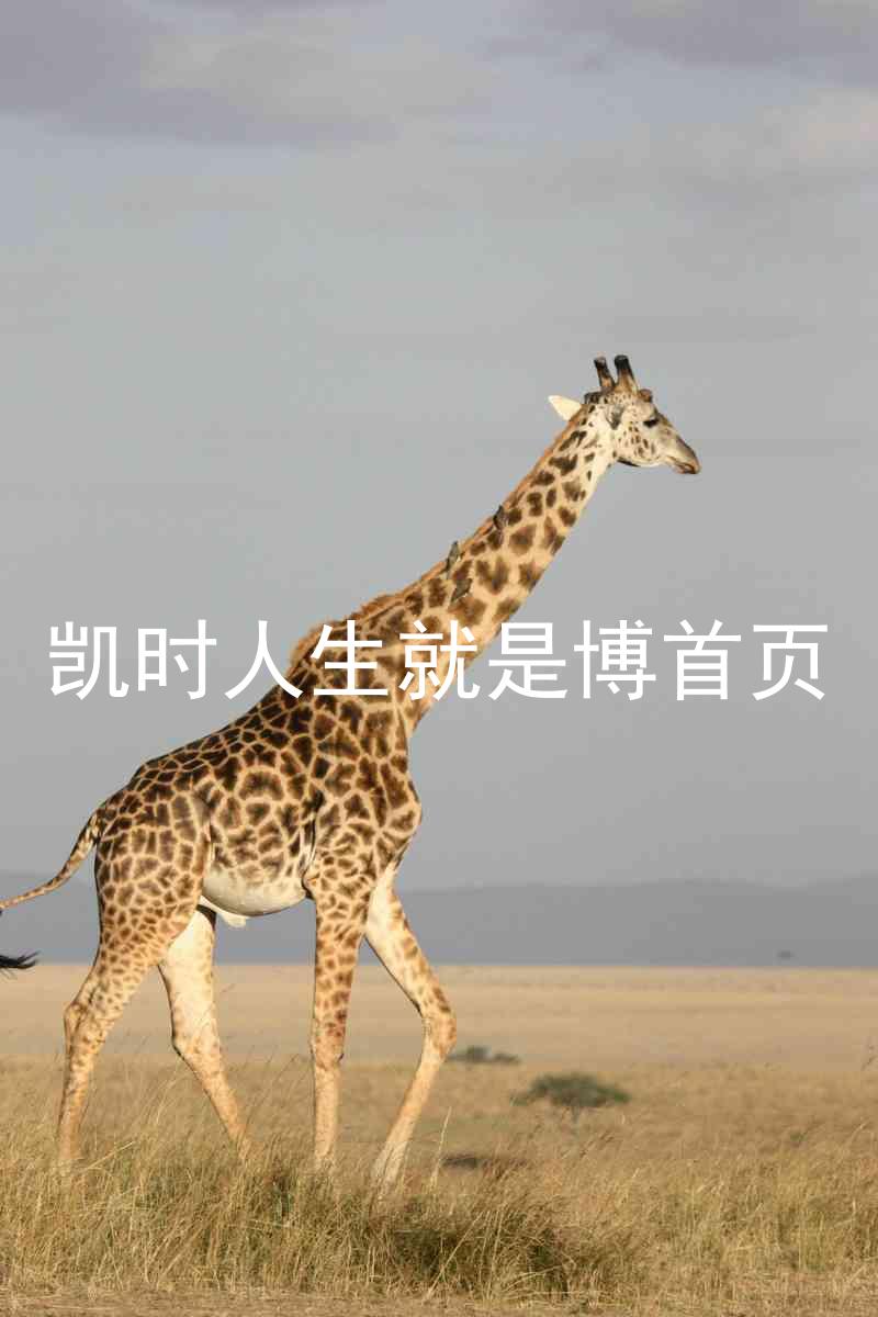 凯时人生就是博首页